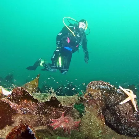 Hébergement de vacances Oen - 2 *