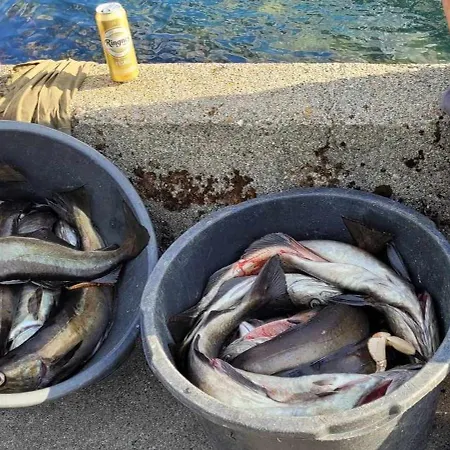 Hébergement de vacances Oen - 2