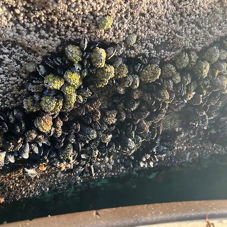 Hébergement de vacances Oen - 2