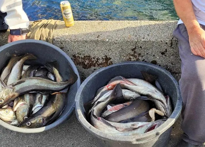 Vakantiehuis Oen - 2